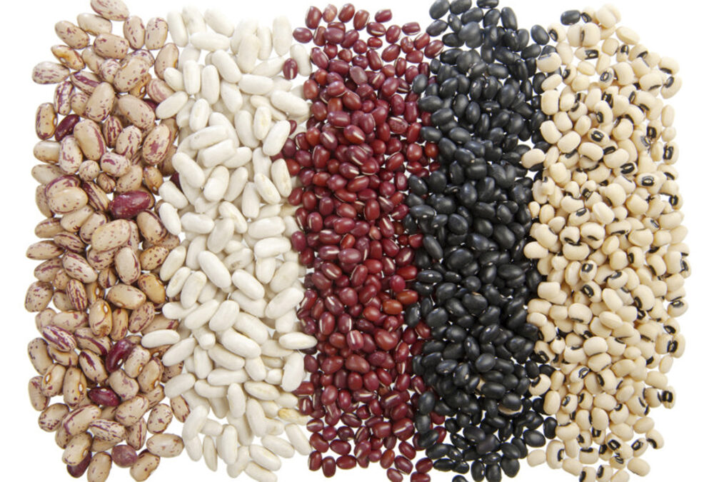 Star of the West acquires interest in Everbest Organics Star of the West